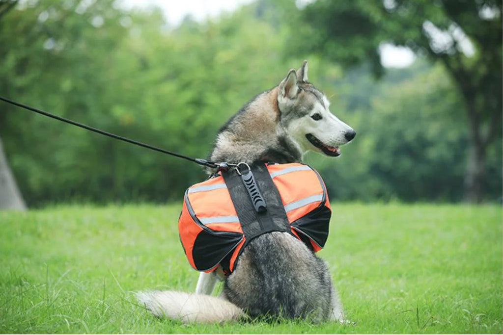 BIYYK TrailPack™ Reflective Dog Adventure Backpack