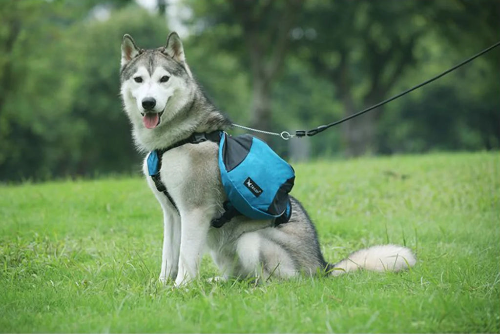 BIYYK TrailPack™ Reflective Dog Adventure Backpack