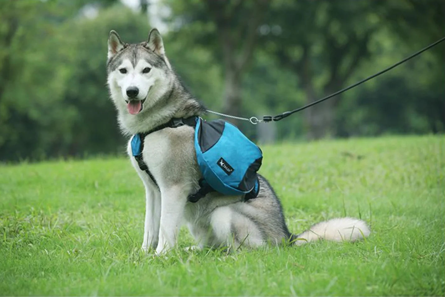 BIYYK TrailPack™ Reflective Dog Adventure Backpack