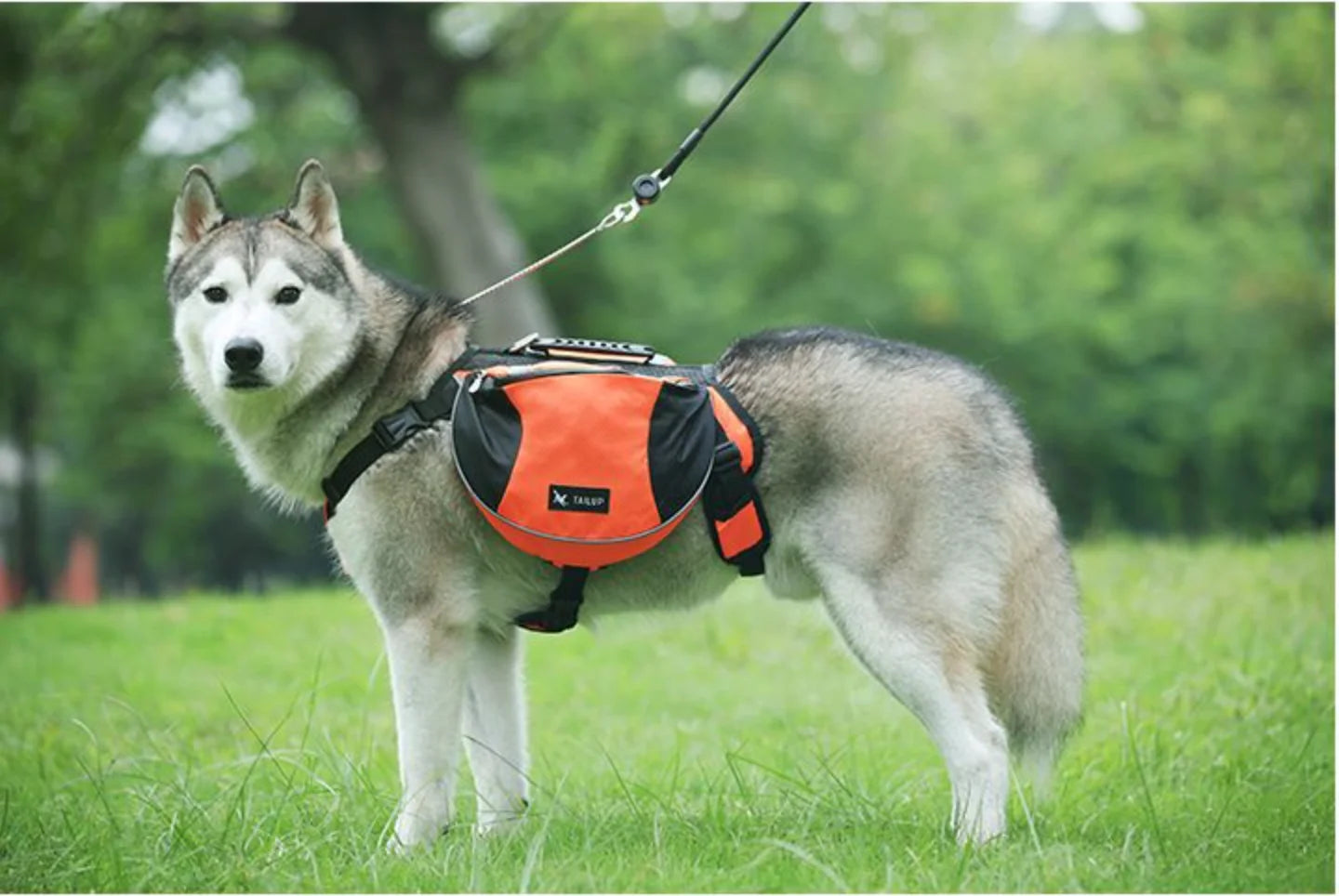 BIYYK TrailPack™ Reflective Dog Adventure Backpack