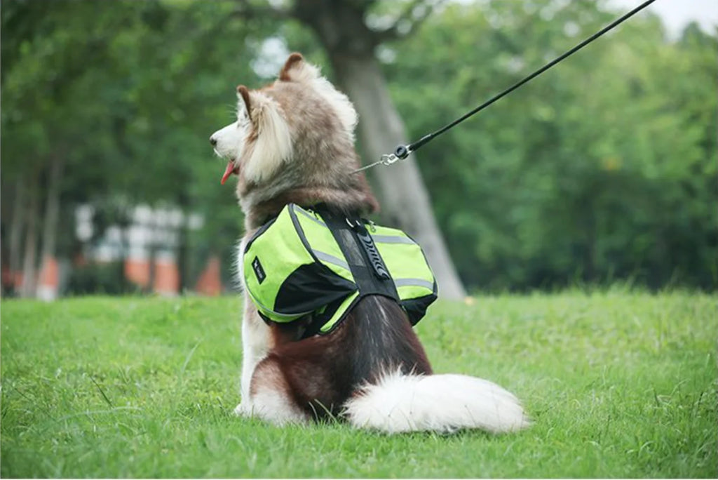 BIYYK TrailPack™ Reflective Dog Adventure Backpack